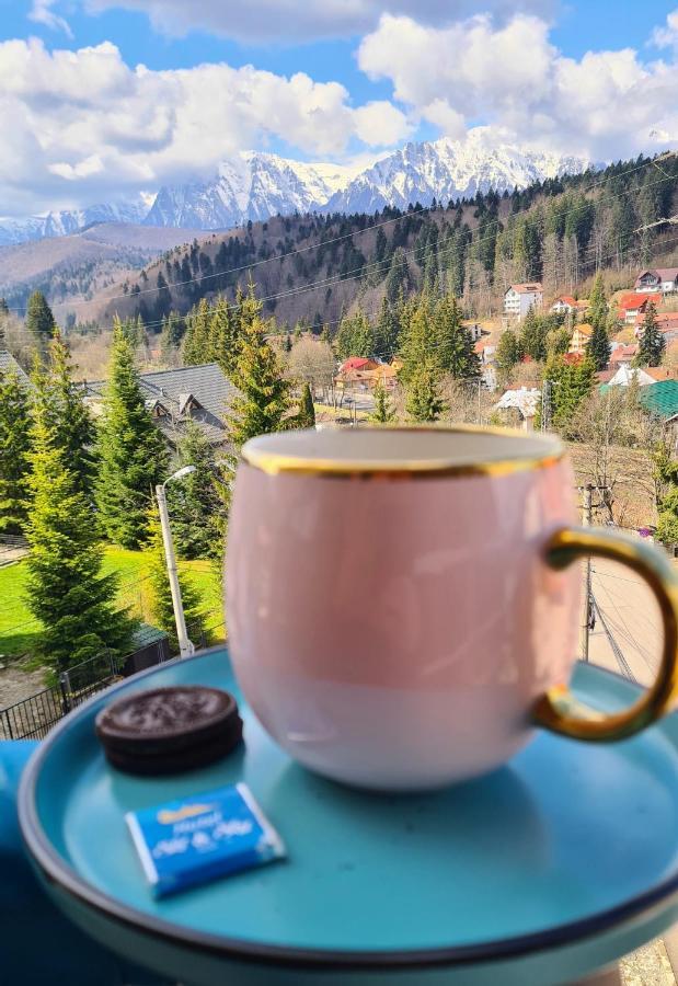 Hotel Ski&Sky Predeal Dış mekan fotoğraf